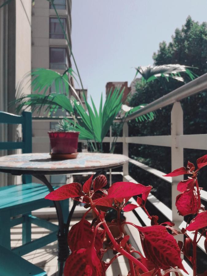 Palermo Deluxe Apartment 布宜诺斯艾利斯 外观 照片